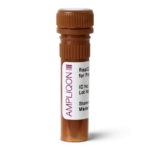 مستر میکس Real Q Plus Master Mix For Probe Low Rox